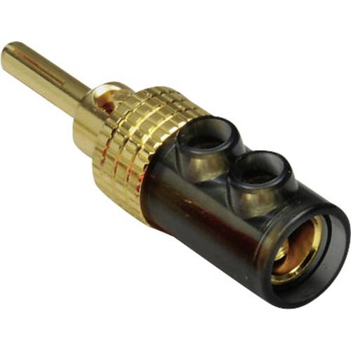 TRU COMPONENTS Bananenstecker Stecker, gerade Stift-Ø: 4 mm Schwarz 1 St.