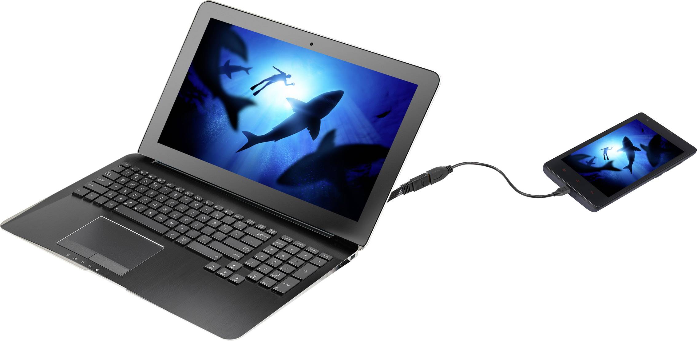 Ein Laptop ist über ein Kabel mit einem Smartphone verbunden. Auf beiden Bildschirmen ist dasselbe Unterwasser-Szenenbild mit Haien sichtbar.
