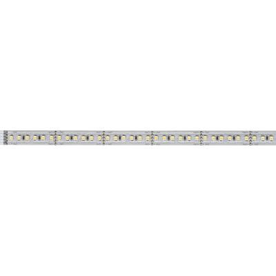 Nahaufnahme einer Reihe von gelben LEDs auf einer silbernen Platine. Die LEDs sind gleichmäßig nebeneinander angeordnet.
