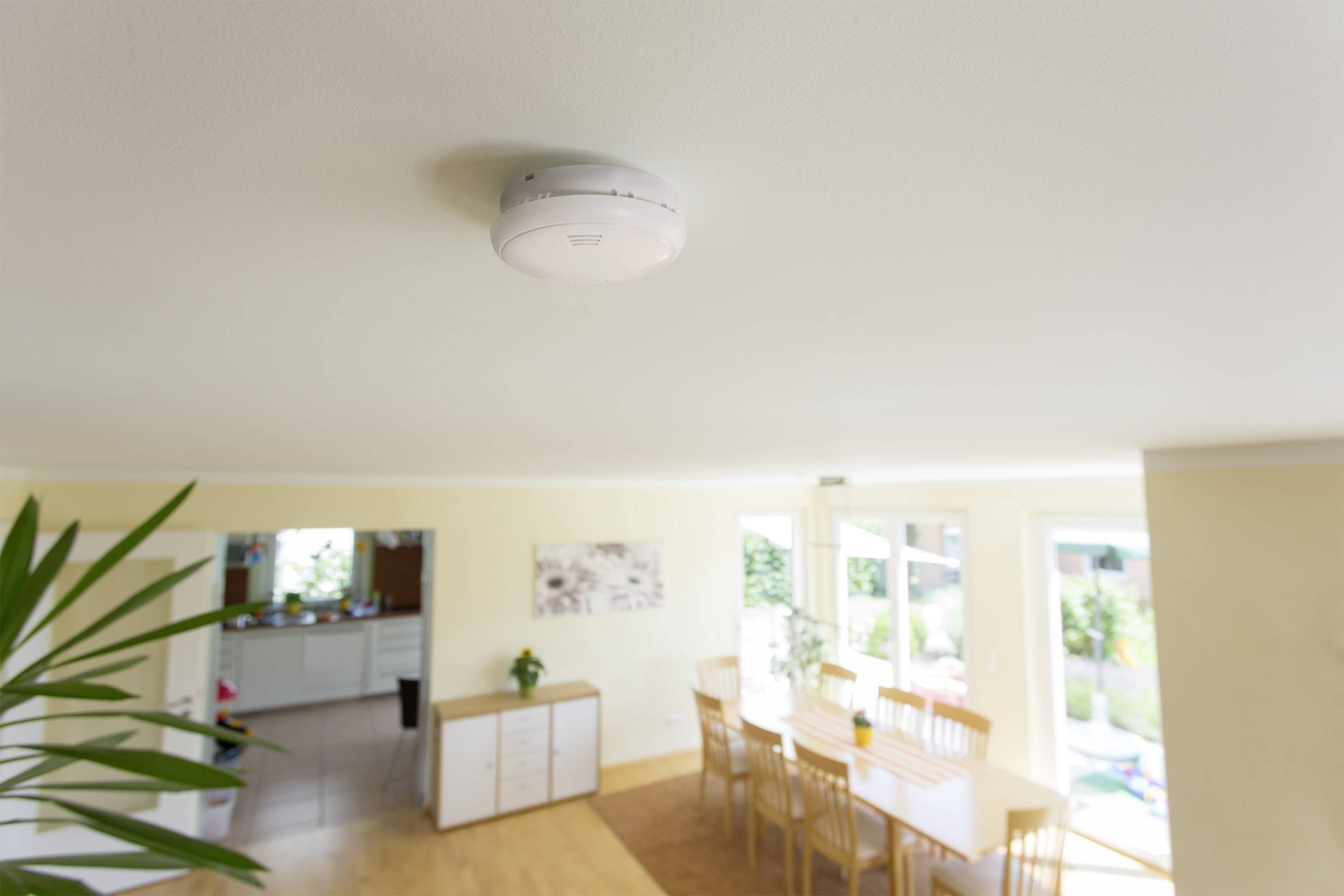 Wohnzimmer mit Esstisch, Stühlen und Pflanze. An der weißen Decke ist ein Rauchmelder montiert. Viel Tageslicht von großen Fenstern.