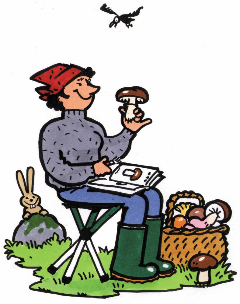 Eine Person sitzt mit einem Pilz in der Hand und einem Buch auf dem Schoß. Ein Korb mit Pilzen steht daneben. Ein Hase schaut zu.