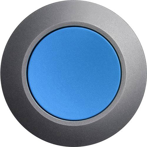 Siemens 3SU10600JA500AA0 3SU1060-0JA50-0AA0 Drucktaster Frontring Metall, Betätiger flach Blau Druckentriegelung 1 St.