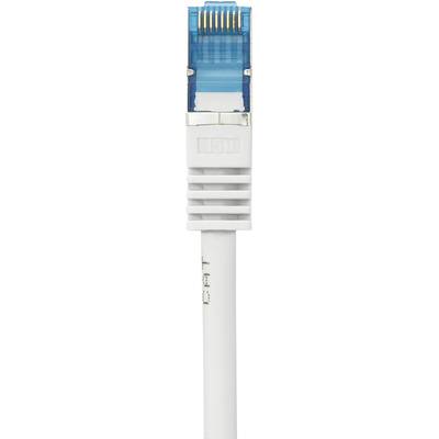 Ein weißes Ethernet-Kabel mit einem blauen, durchsichtigen Stecker.