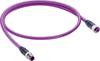 Belden 12589-1 Sensor-/Aktor-Datensteckverbinder, konfektioniert M12 Stecker, gerade, Buchse, gerade 3.00 m Polzahl Sensoren: 5 1 St.