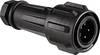Bulgin EXP-0911/04/P Rundstecker Stecker, gerade Gesamtpolzahl: 4 Serie (Rundsteckverbinder): EXP 1 St.