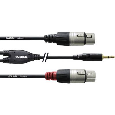 Cordial  Audio Adapterkabel [1x Klinkenstecker 3.5 mm - 2x XLR-Buchse] 1.80 m Schwarz
