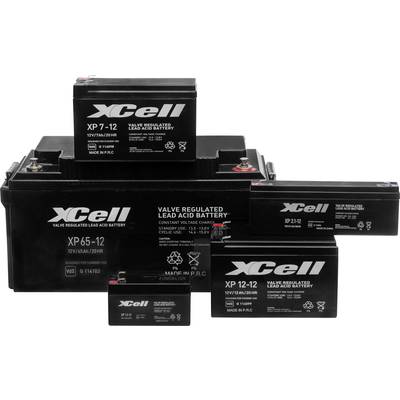 Fünf Bleisäurebatterien der Marke XCell in verschiedenen Größen, alle mit ventorgesteuerter Technologie, auf weißem Hintergrund.