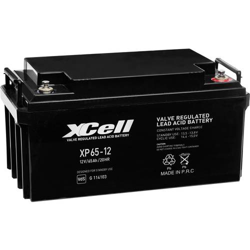 XCell XP6512 XCEXP6512 Bleiakku 12 V 65 Ah Blei-Vlies (AGM) (B x H x T) 348 x 178 x 167 mm M6-Schraubanschluss Wartungsf...