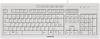 CHERRY USB Tastatur Schweiz, QWERTZ Grau Ergonomisch, Spritzwassergeschützt