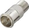 Renkforce RF-4196964 F-Verbinder Anschlüsse: F-Buchse, F-Quick-Stecker 1 St.