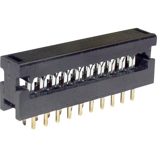 econ connect LPV25S10 Federleiste Gesamtpolzahl 10 Anzahl Reihen 2 1 St.