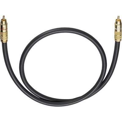 Schwarzes Koaxialkabel mit goldenen Cinch-Steckern an beiden Enden, in einem Kreis gebogen.