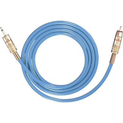 Ein blaues Audiokabel mit RCA-Steckern an beiden Enden, geeignet für die Verbindung von Audio-Geräten.