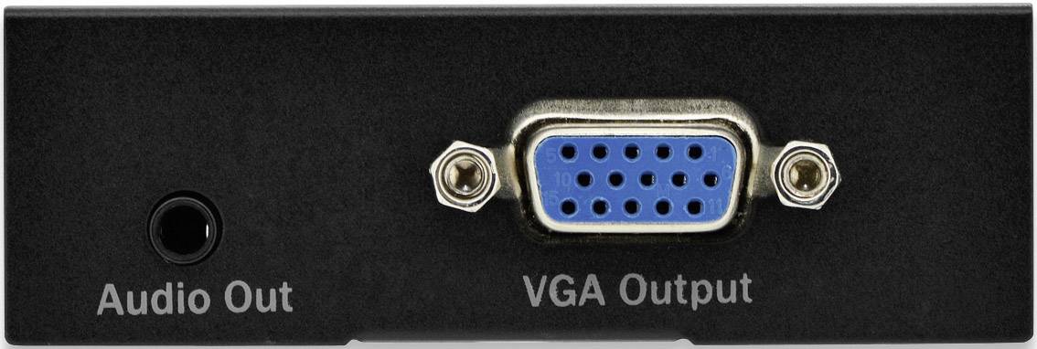 'Rückseite eines Geräts mit Anschlussbuchsen: links Audio-Out-Anschluss, rechts VGA-Ausgang im blauen Anschlussfeld mit Schrauben.'