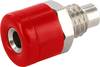 econ connect HOBSRT Bananenstecker Buchse, Einbau vertikal Stift-Ø: 2.6 mm Signal-Rot 1 St.