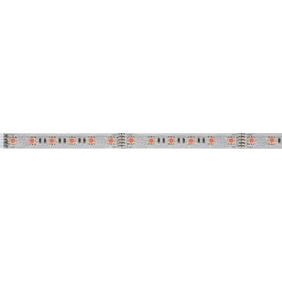 Paulmann MaxLED RGB 70570 LED-Streifen-Erweiterung  mit Stecker 24 V 1 m RGB 