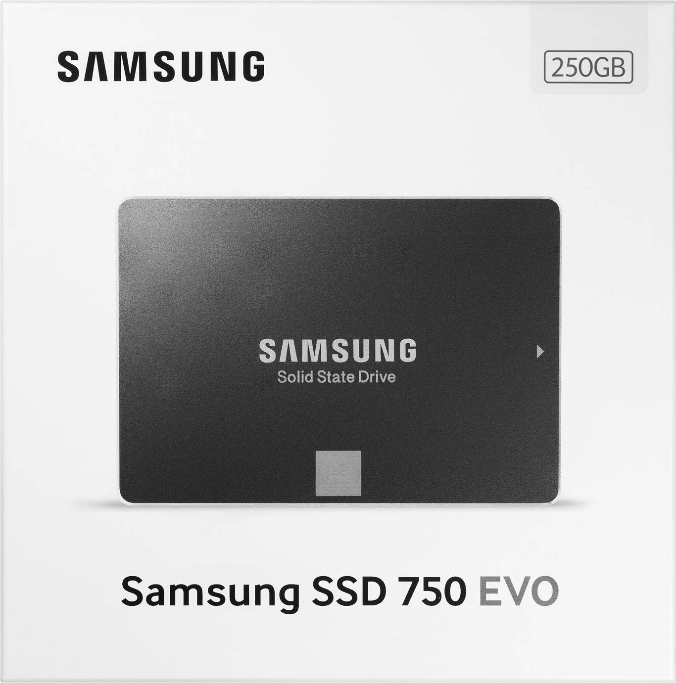 SSD 250GB Samsung 2,5" (6.3cm) SATAIII 750 EVO Ser. Basi-4