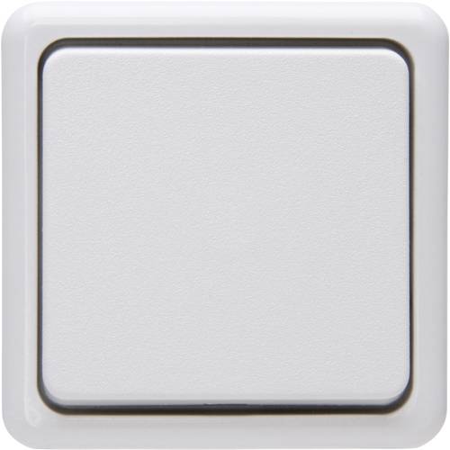 Kopp Kreuzschalter Aufputz-Standard Arktis-Weiß 513702008 1 St.