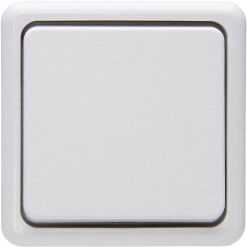 Kopp Taster Aufputz-Standard Arktis-Weiß 514402000 1 St.