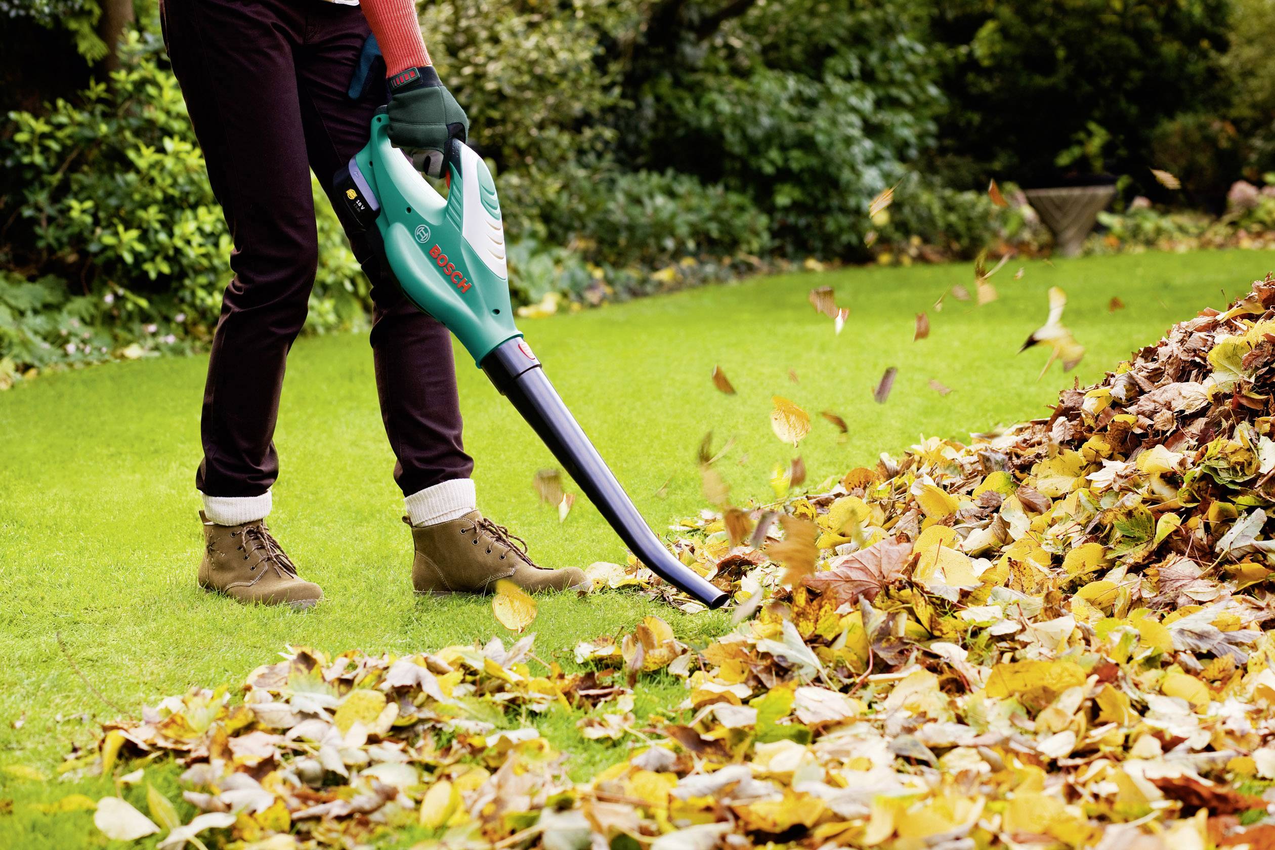 Laubsauger und Laubbläser sind besonders im Herbst sinnvoll