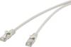 Renkforce RF-4541484 RJ45 Patchkabel CAT 5e F/UTP 0.25 m Grau mit Rastnasenschutz 1 St.