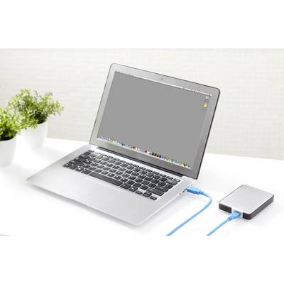 Ein Laptop ist mit einer externen Festplatte verbunden. Auf dem Tisch stehen zwei Pflanzen. Der Bildschirm des Laptops ist an.