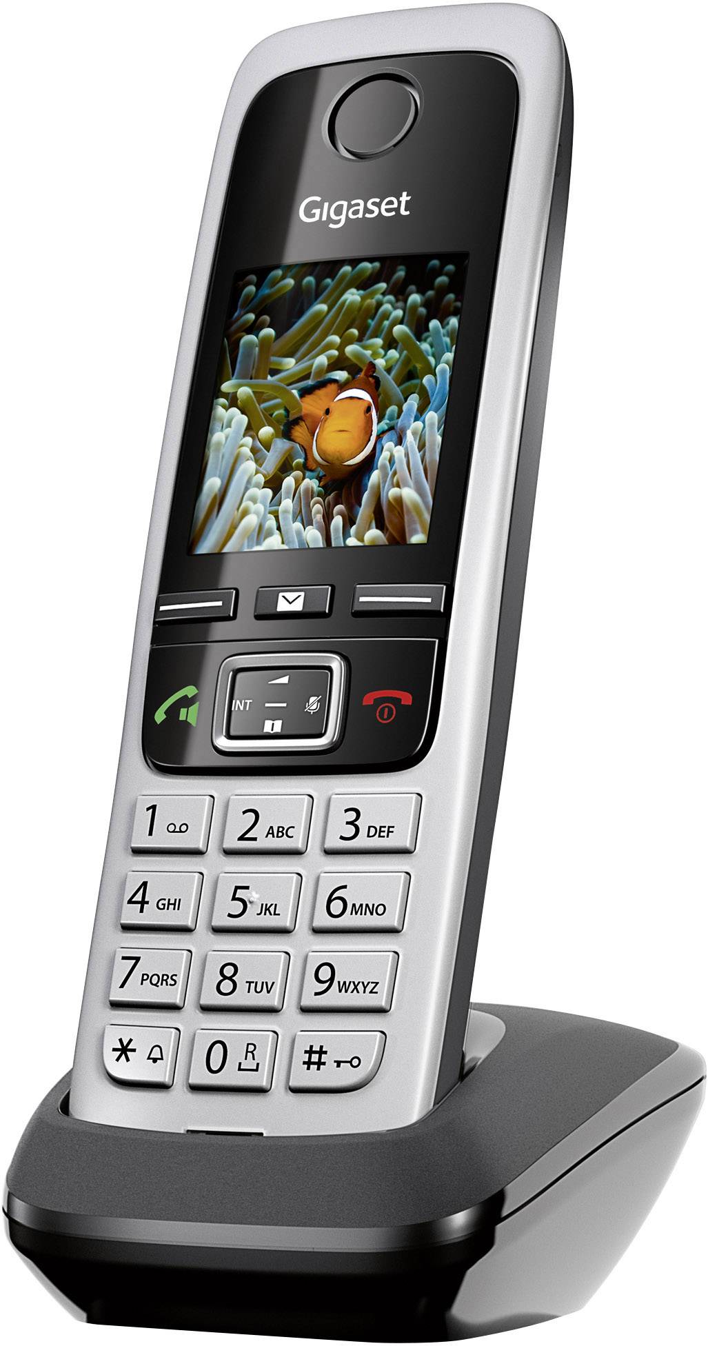 Ein schnurloses Telefon mit einer Farbanzeige auf der Ladestation; das Display zeigt ein Bild von Fisch im Korallenriff.