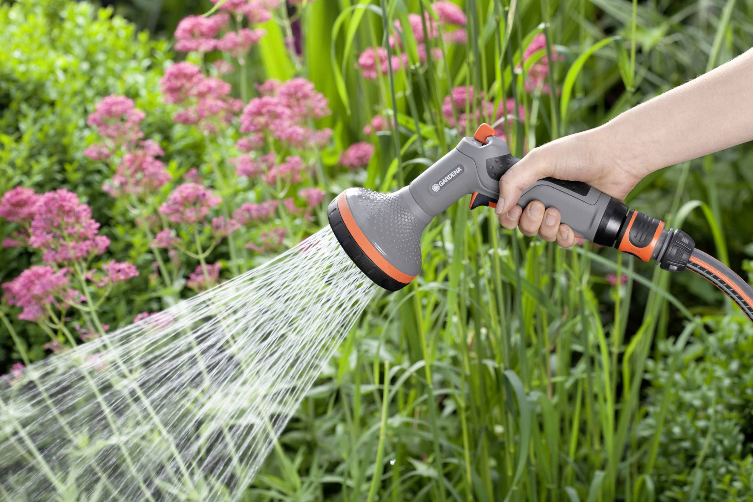 Eine Person hält einen Gartenschlauch und bewässert rosa blühende Pflanzen in einem üppigen Garten.