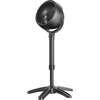 Hochglanz-Schwarz Ventilator auf einem verstellbaren Standfuß, ideal zur Raumkühlung und Luftzirkulation in Innenräumen.