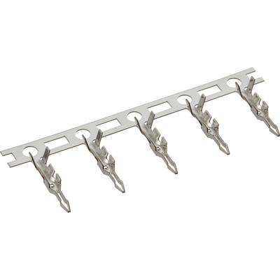 Eine Reihe von metallischen Anschlussnasen, die in gleichmäßigen Abständen auf einem Verbindungsträger befestigt sind, zur elektrischen Verbindung.