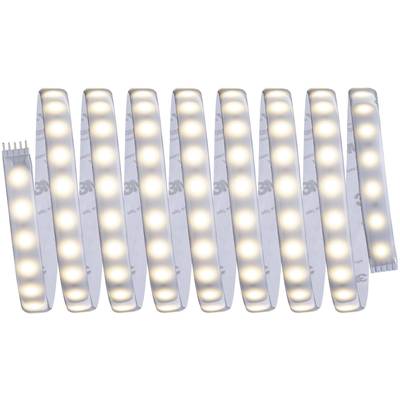 Paulmann MaxLED 500 70666 LED-Streifen-Basisset mit Stecker 24 V 3 m Warmweiß 1 St.-1