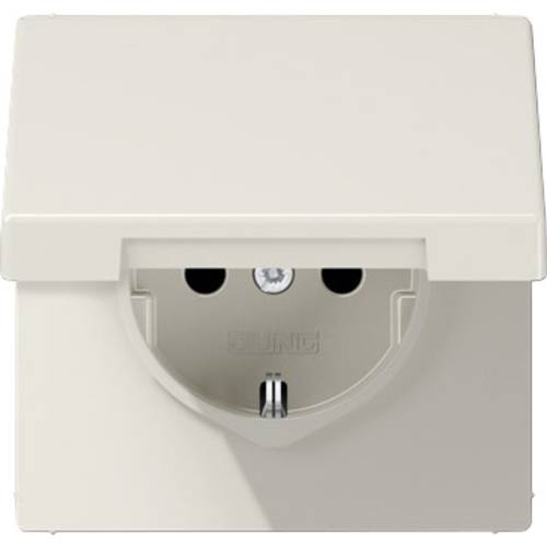 Jung Einsatz Schutzkontakt-Steckdose mit Klappdeckel LS plus, LS design, LS 990 Weiß LS1520KL 1 St.