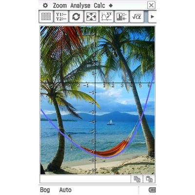 Mathematische Grafik über einem Strandfoto platziert. Koordinatensystem mit farbigen Kurven. Palmen, Hängematte und Segelboot im Hintergrund.