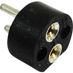 Image of BELI-BECO 254 Lampenfassung Sockel (Miniaturlampen): Bi-Pin 4 mm Anschluss: Lötstift 1 St.