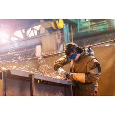 TOOLCRAFT 1437615 Kapselgehörschutz 29 dB EN 352-1:2002 1 St.-1