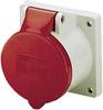 MENNEKES 1385 CEE Wandsteckdose 16 A 5polig 400 V 1 St.