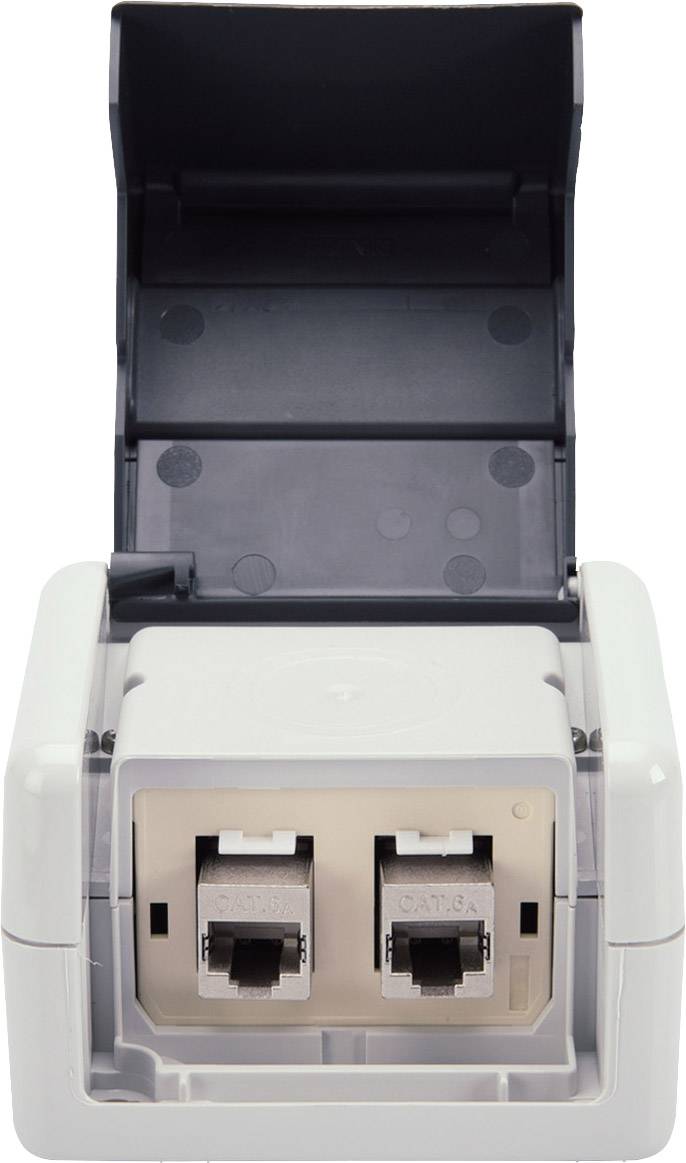 Doppelnetzwerksteckdose mit aufgeklappter Abdeckung, zeigt zwei Ethernet-Buchsen mit der Beschriftung 'CAT6'.