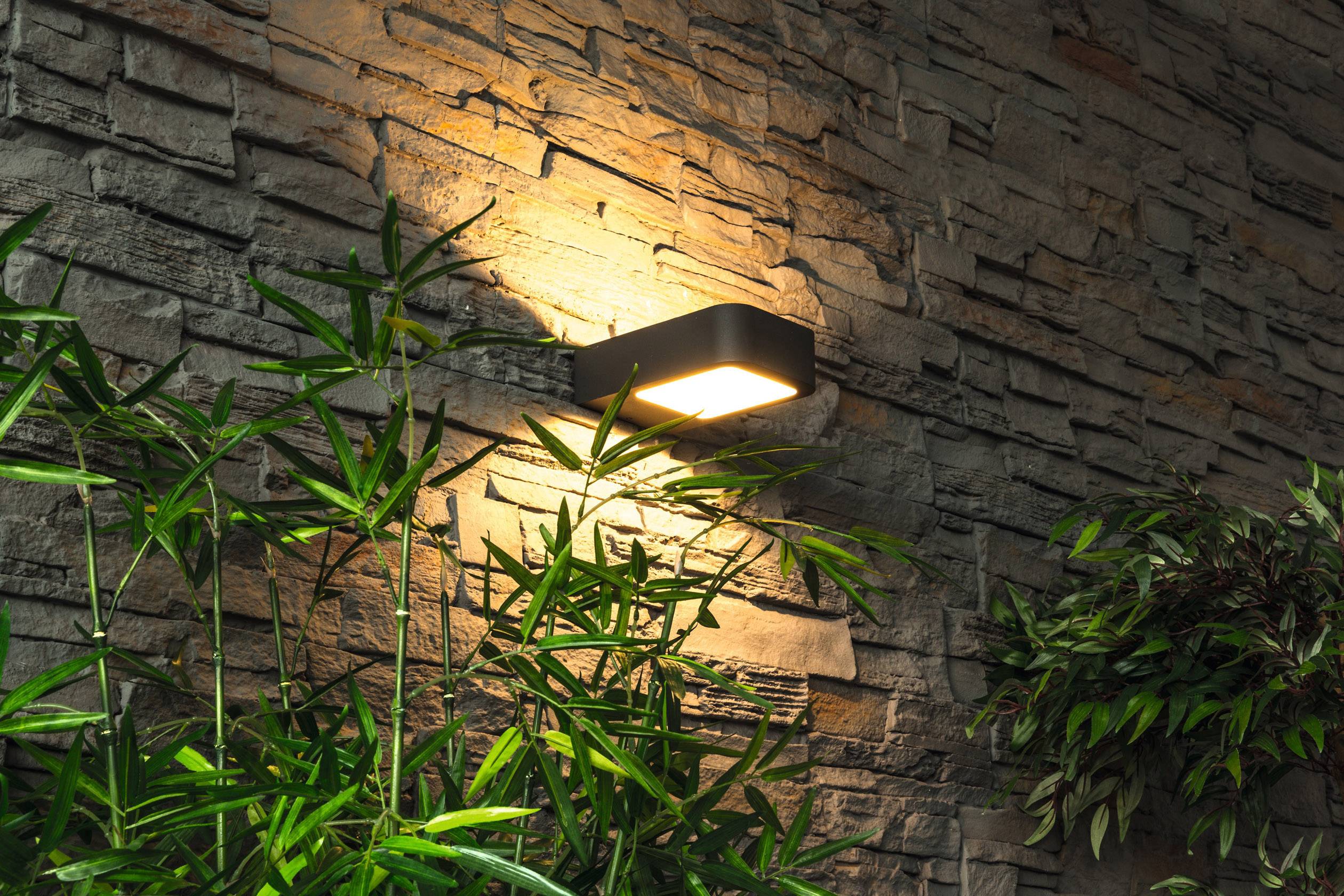 Eine moderne Wandlampe leuchtet nachts an einer Steinwand, umgeben von grünen Bambuspflanzen.