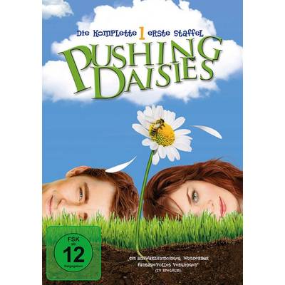 DVD Pushing Daisies FSK: 12