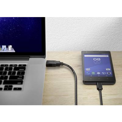 Ein Smartphone ist mit einem USB-Kabel an einen Laptop angeschlossen. Der Laptop zeigt einen Desktop-Bildschirm; das Smartphone den Startbildschirm.