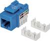 Intellinet 210546 RJ45-Einbaumodul Keystone CAT 5e 1 St.
