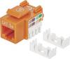 Intellinet Cat5e Modularbuchse, UTP, Keystone Jack, orange, benötigt LSA-Auflegewerkzeug