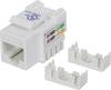 Intellinet 210355 RJ45-Einbaumodul Keystone CAT 5e 1 St.