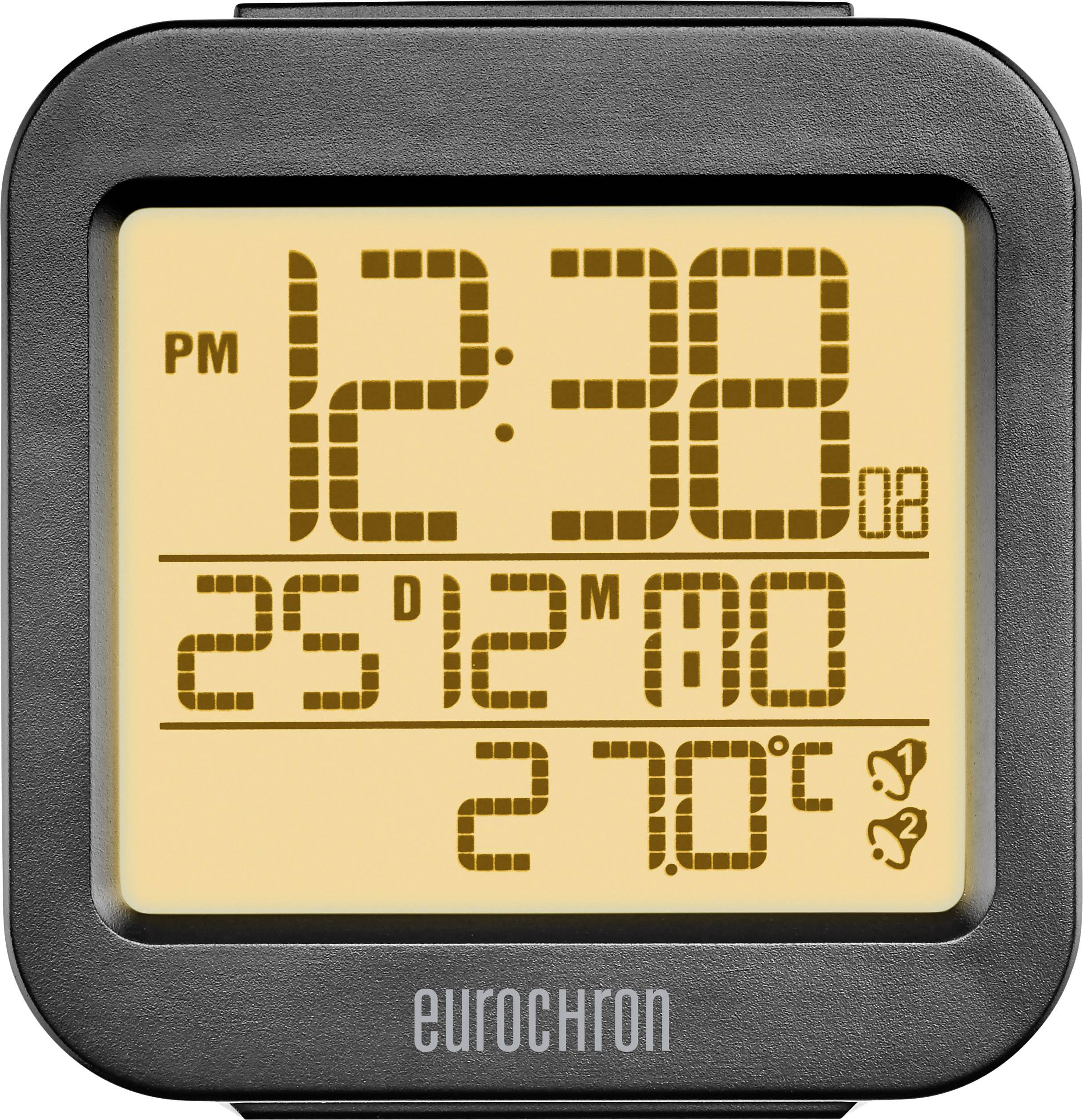 eurochron clock manual