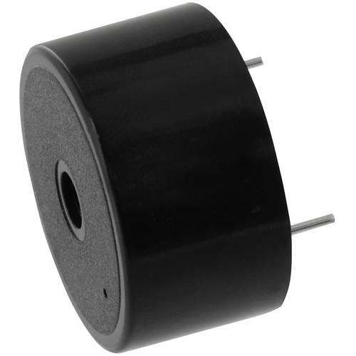 PSP301290 Miniatur Summer Geräusch-Entwicklung: 90 dB Spannung: 12 V/DC Dauerton 1 St.