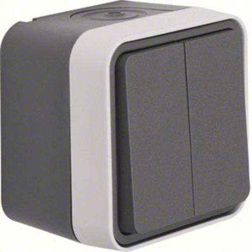 Thumbnail - Berker Serienschalter Aufputz W.1 Grau, Lichtgrau 30753505 1 St.