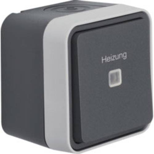 Thumbnail - Berker Heizungs-Notschalter Aufputz W.1 Grau, Lichtgrau 35663505 1 St.