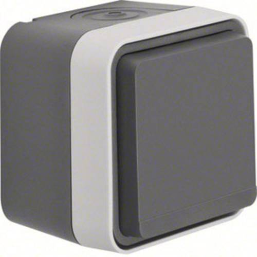 Berker Schutzkontakt-Steckdose mit Klappdeckel Aufputz W.1 Grau, Lichtgrau 47633505 1 St.