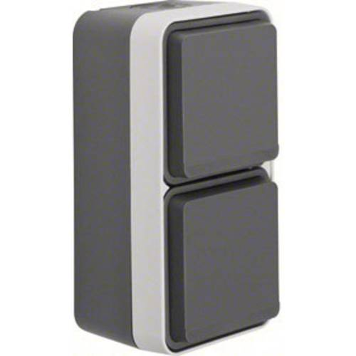 Thumbnail - Berker Doppelsteckdose Aufputz W.1 Grau, Lichtgrau 47703525 1 St.