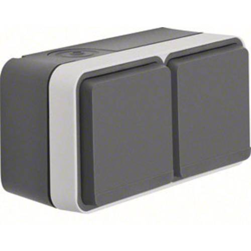 Berker Doppelsteckdose Aufputz W.1 Grau, Lichtgrau 47843515 1 St.